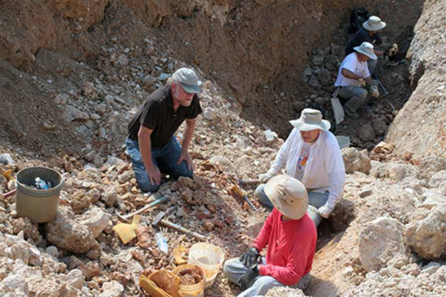 Gem & Mineral Hunting Adventure 2025